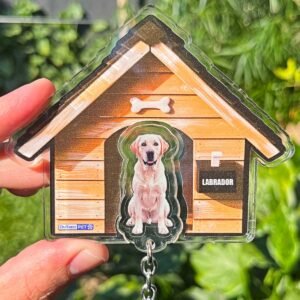 Kit Chaveiro - Labrador (Animado)