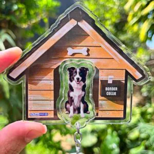 Kit Chaveiro - Border Collie (Real)