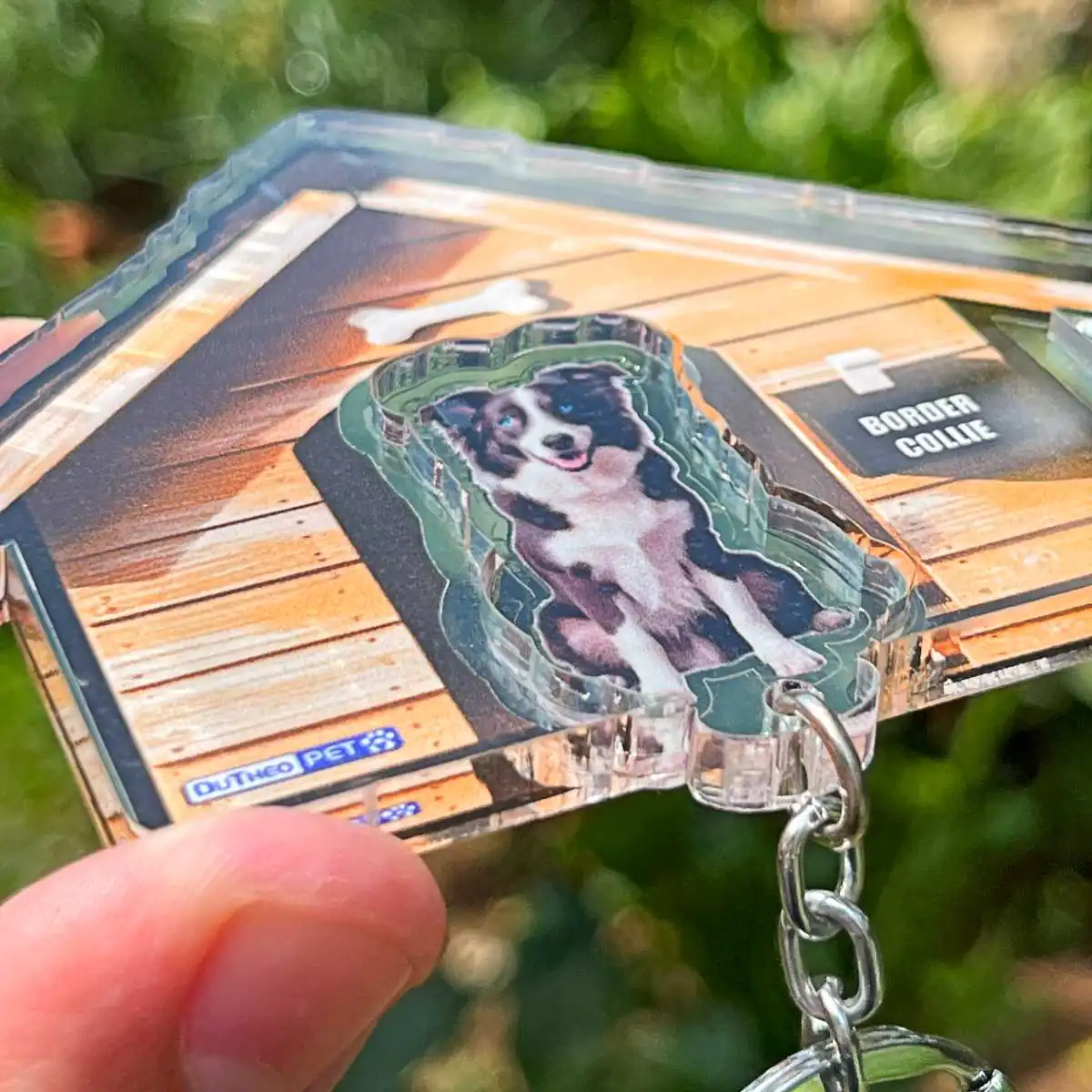 Kit Chaveiro - Border Collie (Real) - Imagem 5