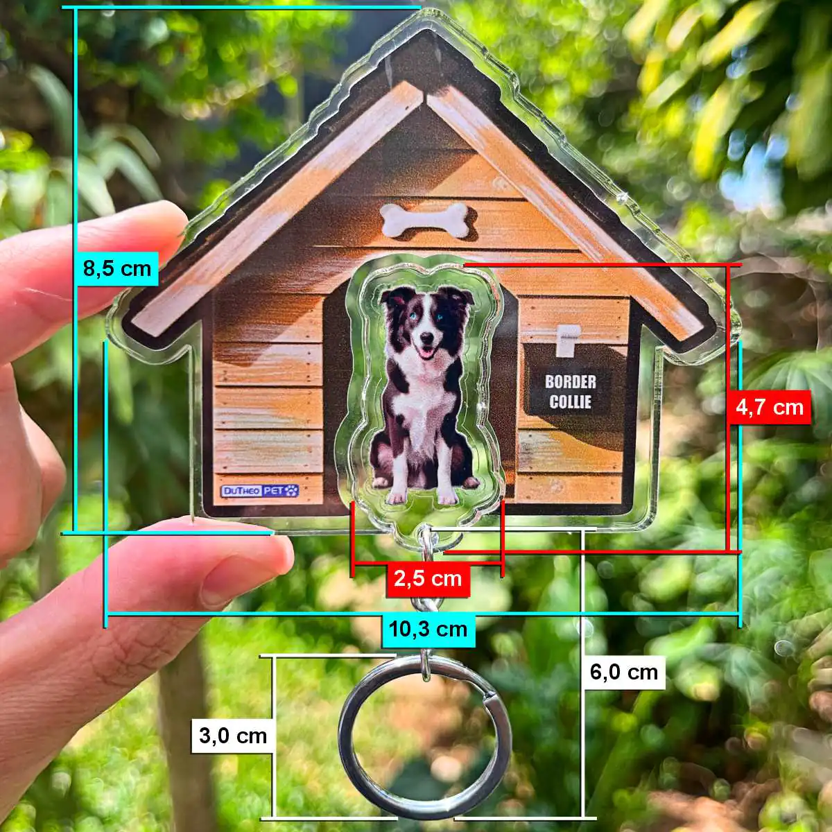 Kit Chaveiro - Border Collie (Real) - Imagem 6