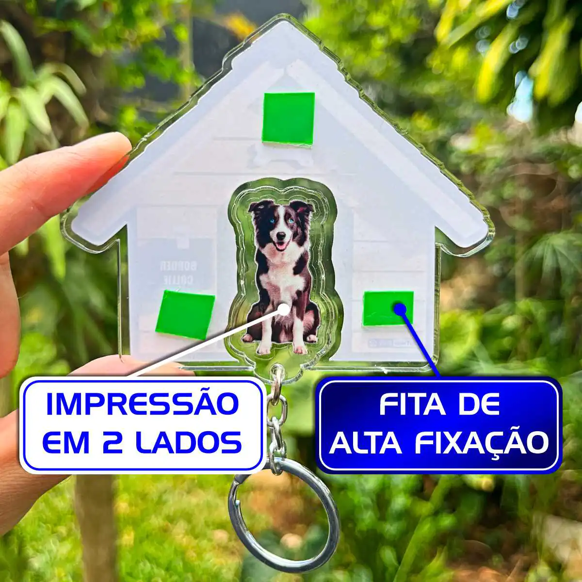 Kit Chaveiro - Border Collie (Real) - Imagem 8