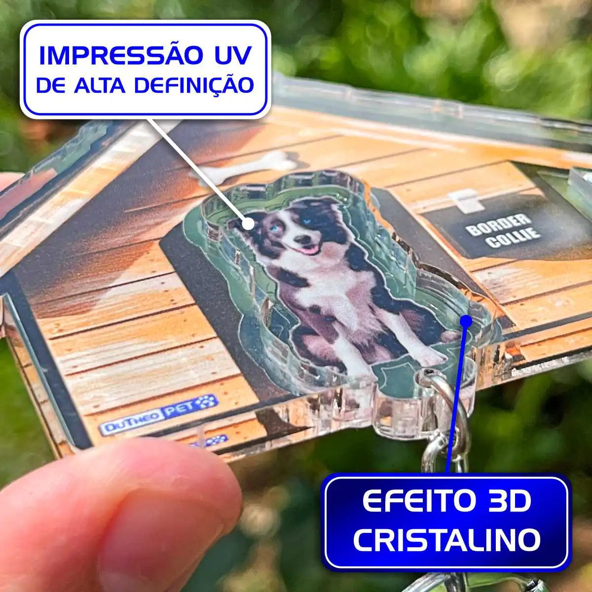 Kit Chaveiro - Border Collie (Real) - Imagem 9