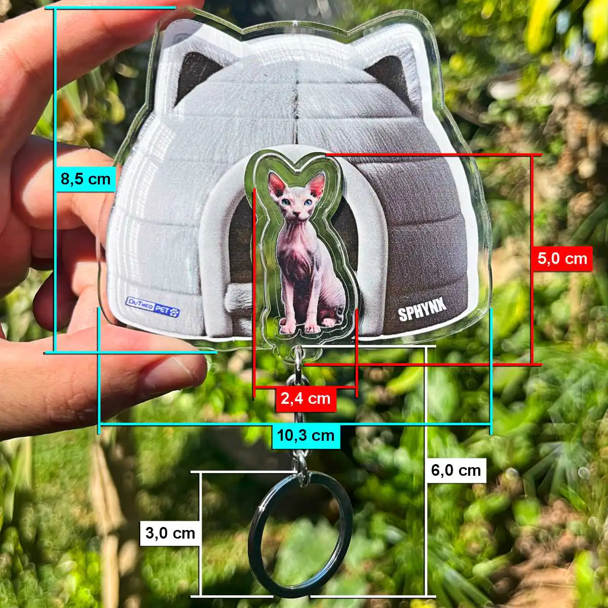 Kit Chaveiro - Sphynx (Real) - Imagem 6