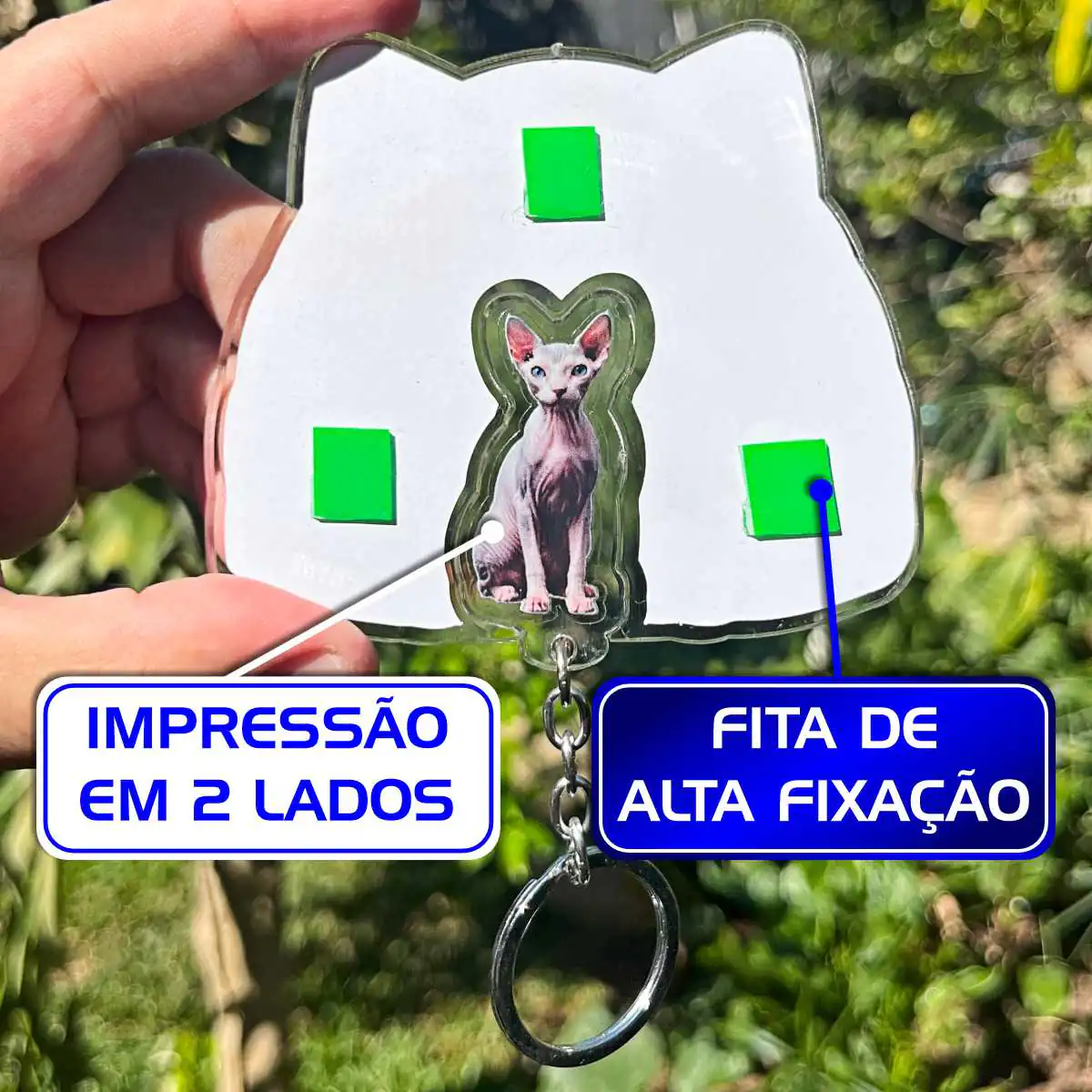 Kit Chaveiro - Sphynx (Real) - Imagem 8