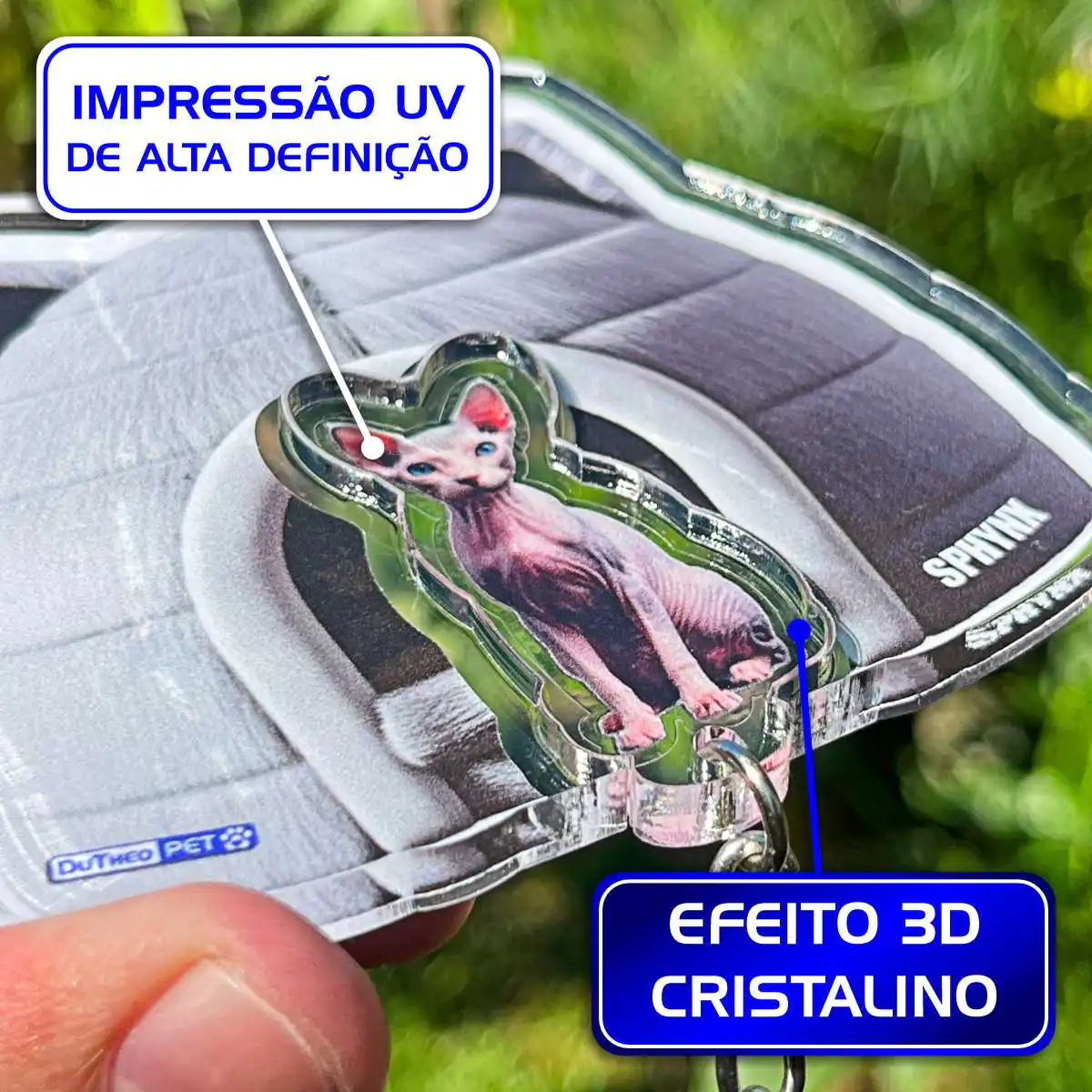 Kit Chaveiro - Sphynx (Real) - Imagem 9